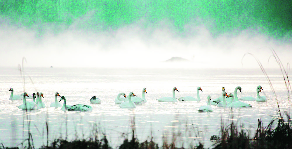 1702338664953170.jpg 2.jpg